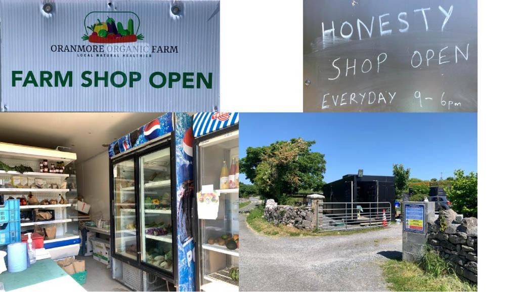 The Cosy Studio By The Shore Galway Eksteriør billede